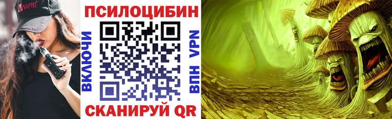 Псилоцибиновые грибы Cubensis  Нолинск 